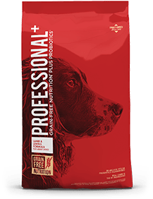 Profesional + Dog Food