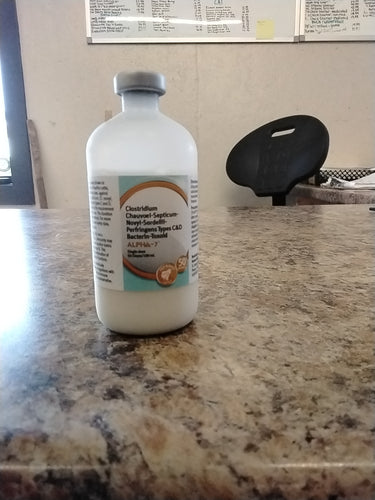 Alpha 7