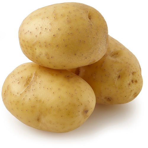 Yukon Gold - Seed Potatoes