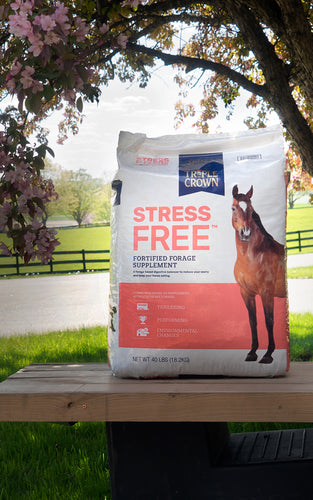 Triple Crown Stress Free Forage