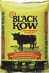 Black Kow Cow Manure