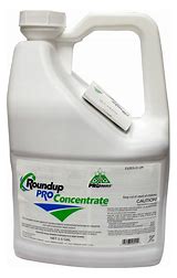 RoundUp Pro Concentrate 2.5 Gallon