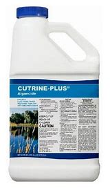 Cutrine Plus Algaecide