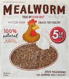Flock Fest Dried Mealworms