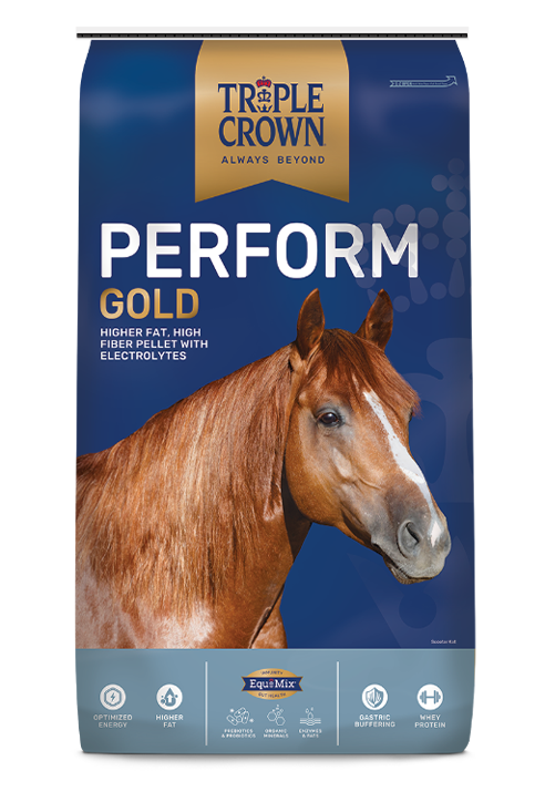 Triple Crown Perform Gold