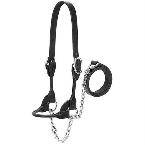 Weaver Rounded Black Leather Show Halter