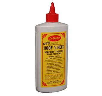 Dr. Naylor Hoof N Heel 16 oz