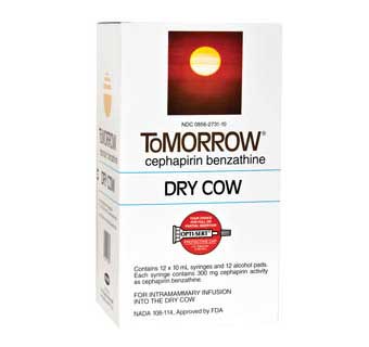 ToMorrow Dry Cow - 1 Tube