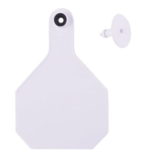 Y-Tex All American Two Piece Ear Tag 4 * White Blank