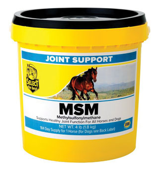 MSM Joint Support