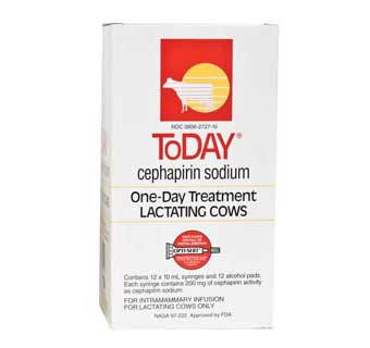 ToDay One Day Treatment Lactating Cows - 1 tube