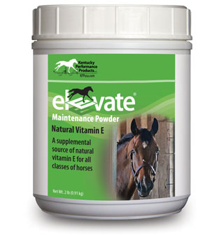 Elevate Maintenance Vitamin E Powder 2lb