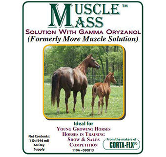 Muscle Mass Solution