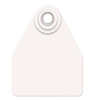 AllFlex Tag System Two Piece Medium Tags White Blank