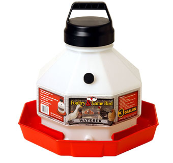 3 Gallon Poultry Waterer