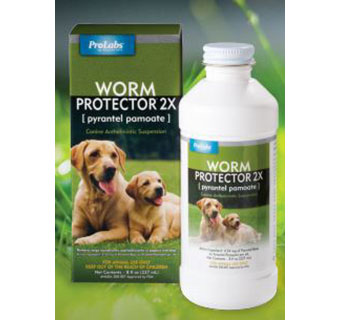 Worm Protector 2x Pyrantel Pamoate 8 oz