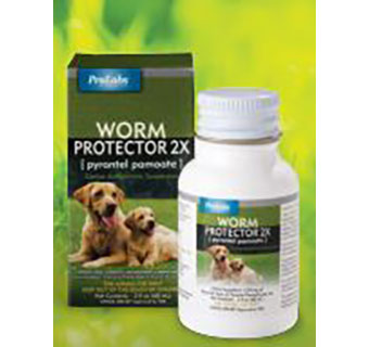 Worm Protector 2x Pyrantel Pamoate 2 oz