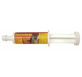 Electrcharge Paste for Horses