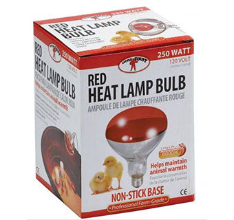 Red Heat Lamp Bulb