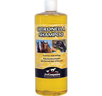 Citronella Shampoo