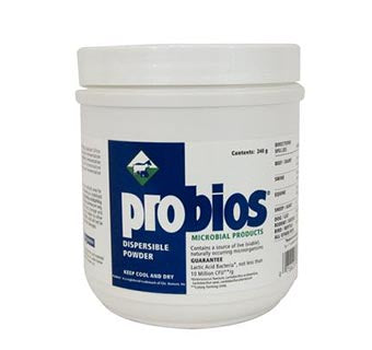 Probios Multi-Species Dispersible Powder 240 g