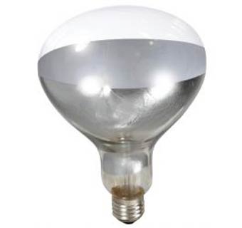 Clear Heat Lamp Bulb