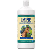 Dyne for Horses