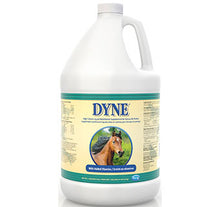 Dyne for Horses