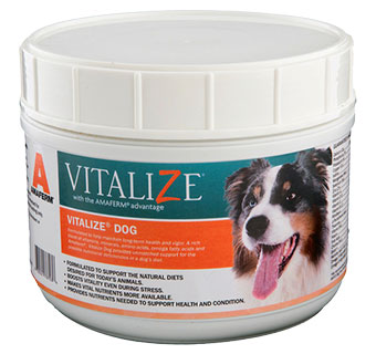 Vitalize Dog