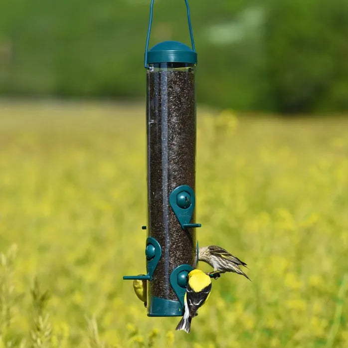 Songbird Feeder