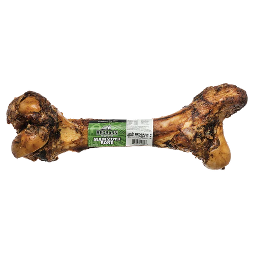 Mammoth Dog Bone