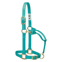 Average Size Adjustable Chin with Throat Latch Horse Halter