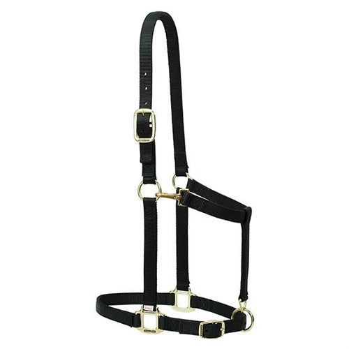 Draft Size Adjustable Chin Horse Halter