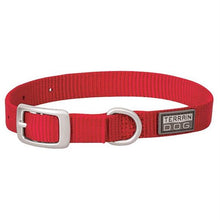 Large Size Terrain Dog Collars