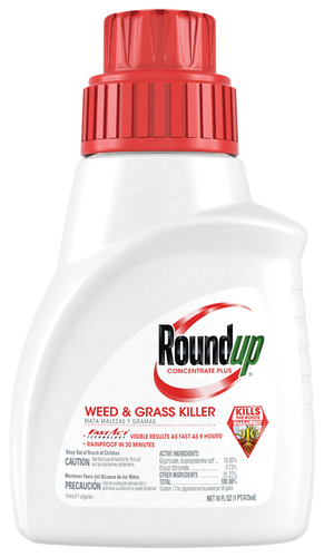 Roundup Weed and Grass Killer Concentrate Plus
