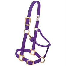 Average Size Adjustable Chin with Throat Latch Horse Halter