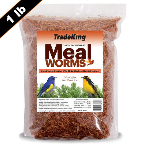 Dried Meal Worms