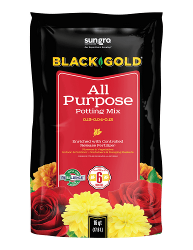 Black Gold All Purpose Potting Mix 16 qt