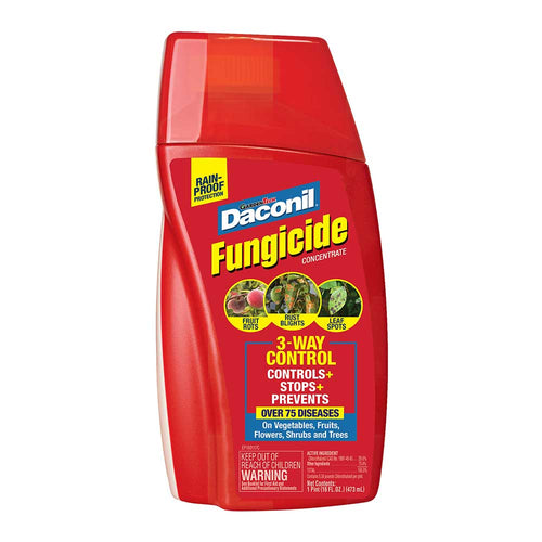 Daconil Fungicide Concentrate