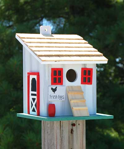 Chicken Coop Birdhouse