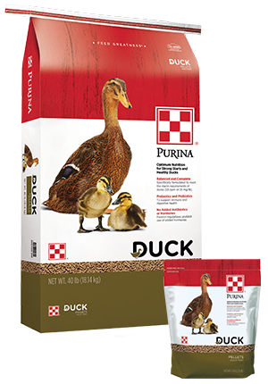 Purina Duck Layer - 40 lb Bag