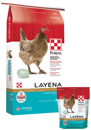 Purina Layena 16% Crumbles - 50 lb bag