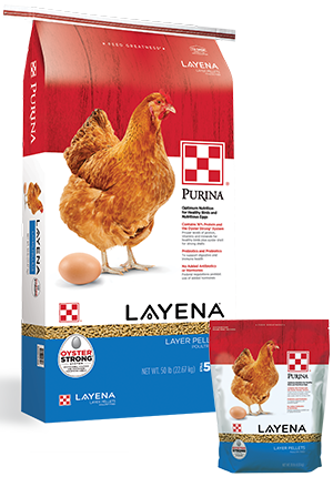 Purina Layena Pellets 16% - 50 lb Bag