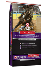 Purina Outlast Gastric Support Supplement