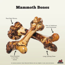 Mammoth Dog Bone