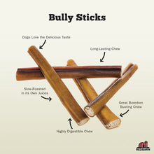 7 in Bully Stick