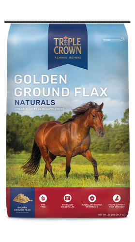 Triple Crown Golden Ground Flax