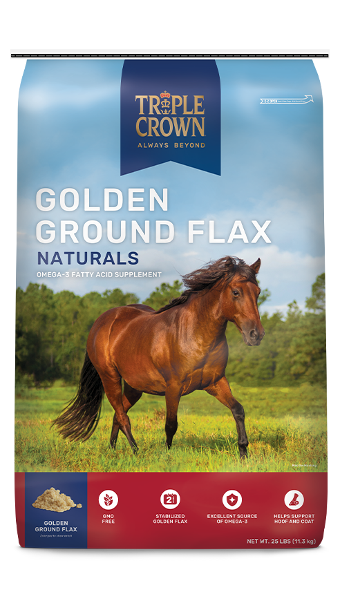 Triple Crown Golden Ground Flax