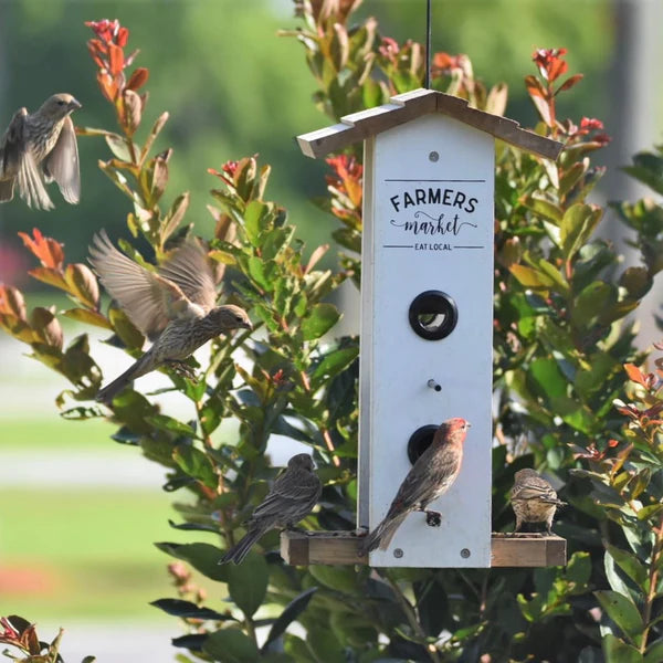 Farmers Market Vertical Hopper Feeder