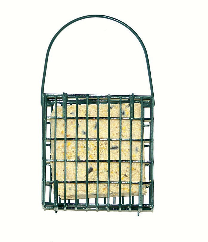 Audubon Suet Feeder